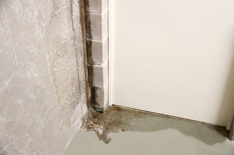 Basement Leak Repair in Denver, NC